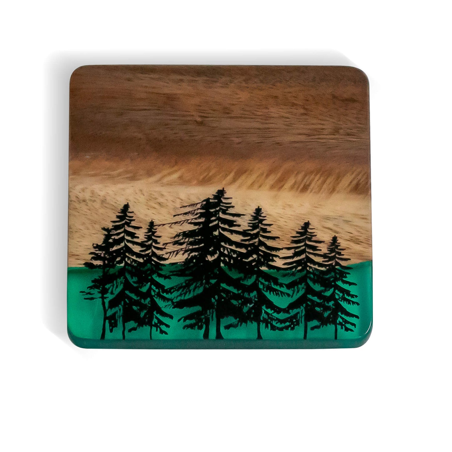 4" Acacia Coaster Set With Translucent and Tree Resin (4-Pcs)